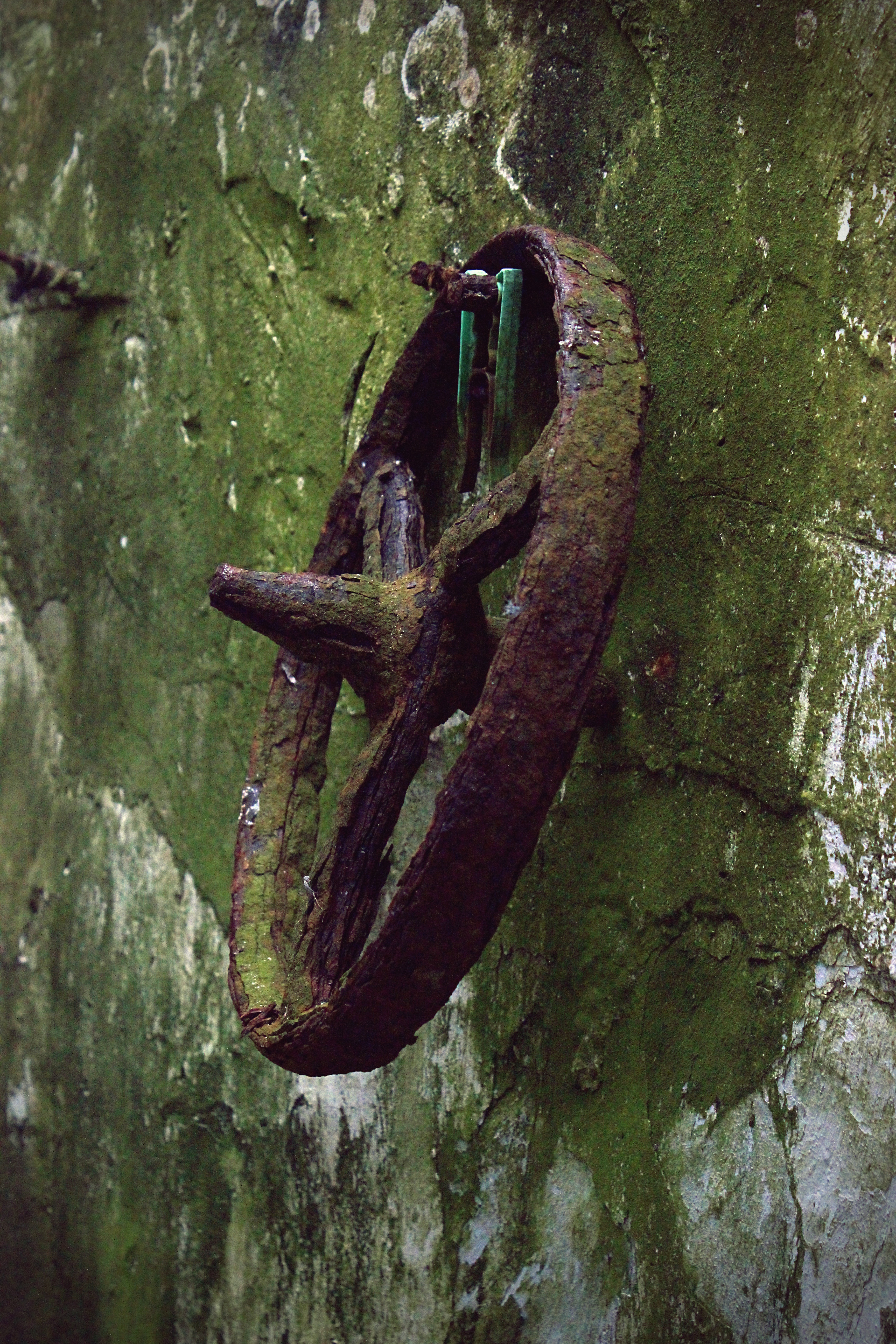 560727CC-9457-48FA-9169-EC8C3C2B59A3