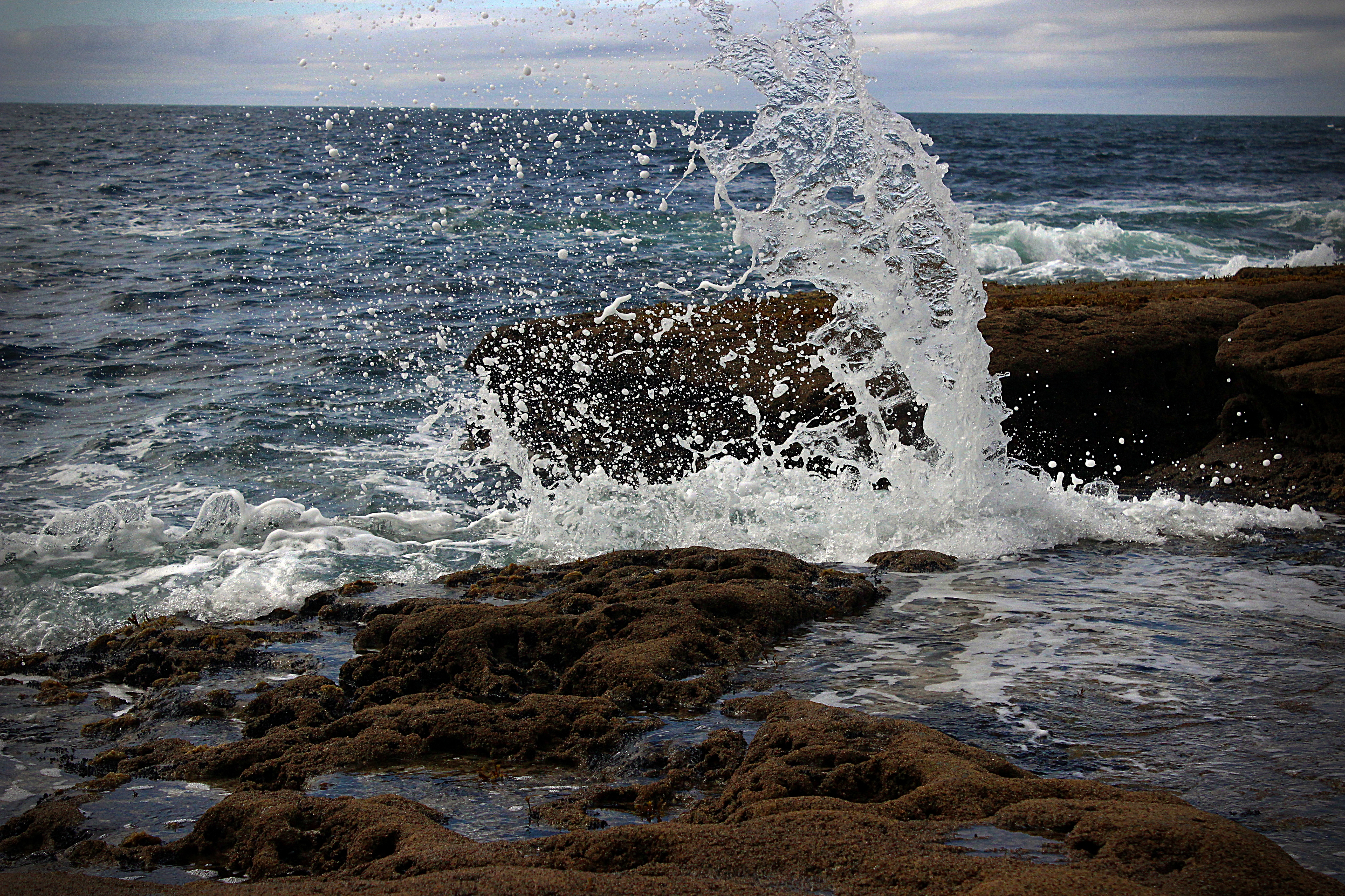 5F0A1261-A2CB-4656-85B3-4D212EA702BD