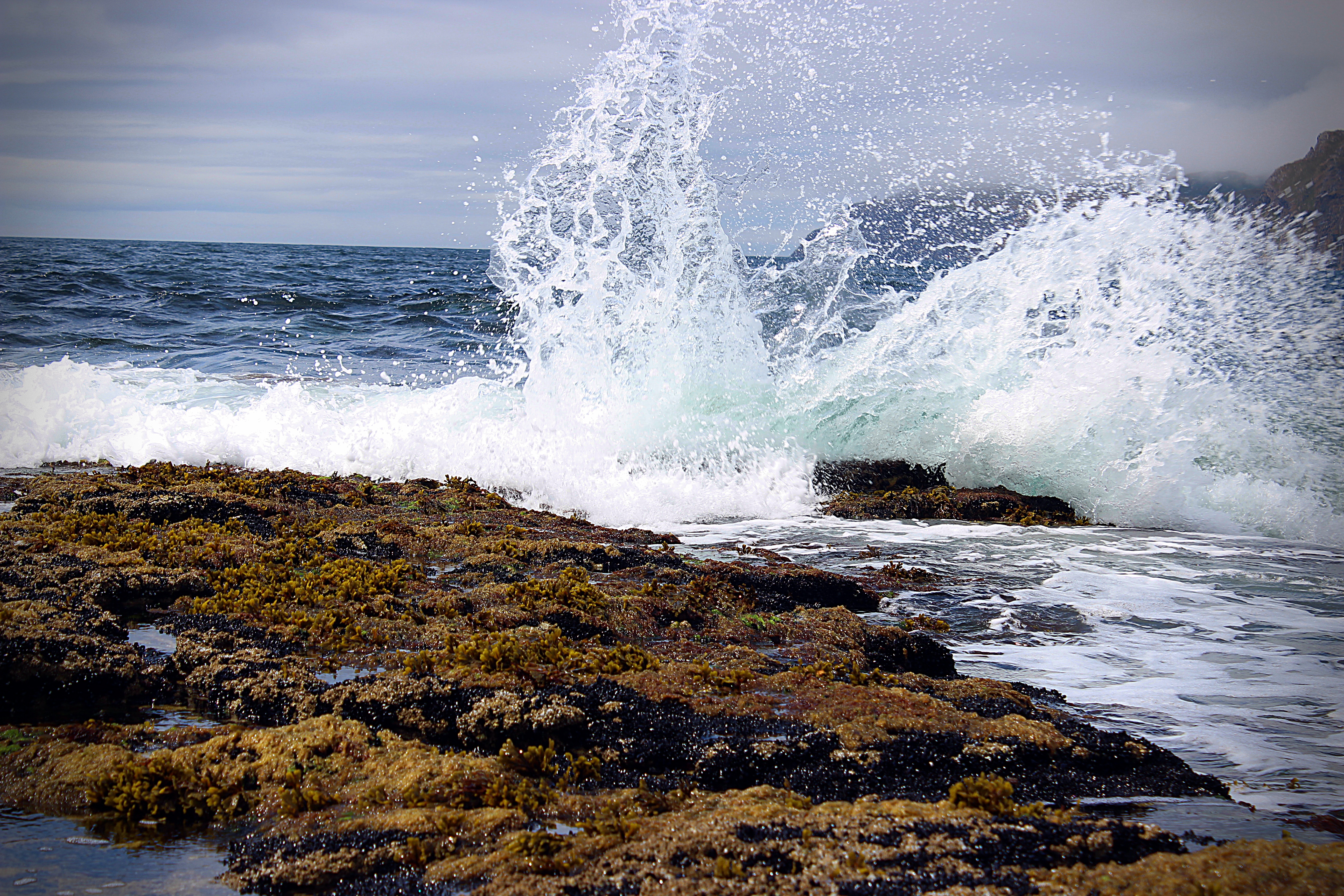 FF97B161-BBBA-408D-BDC7-DB49642A63C4