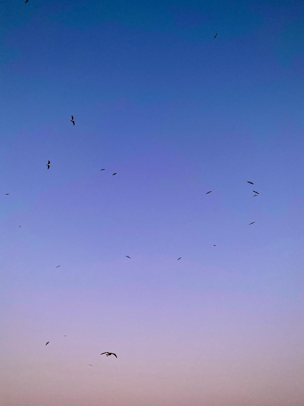 Du bist du,&nbsp;oder?